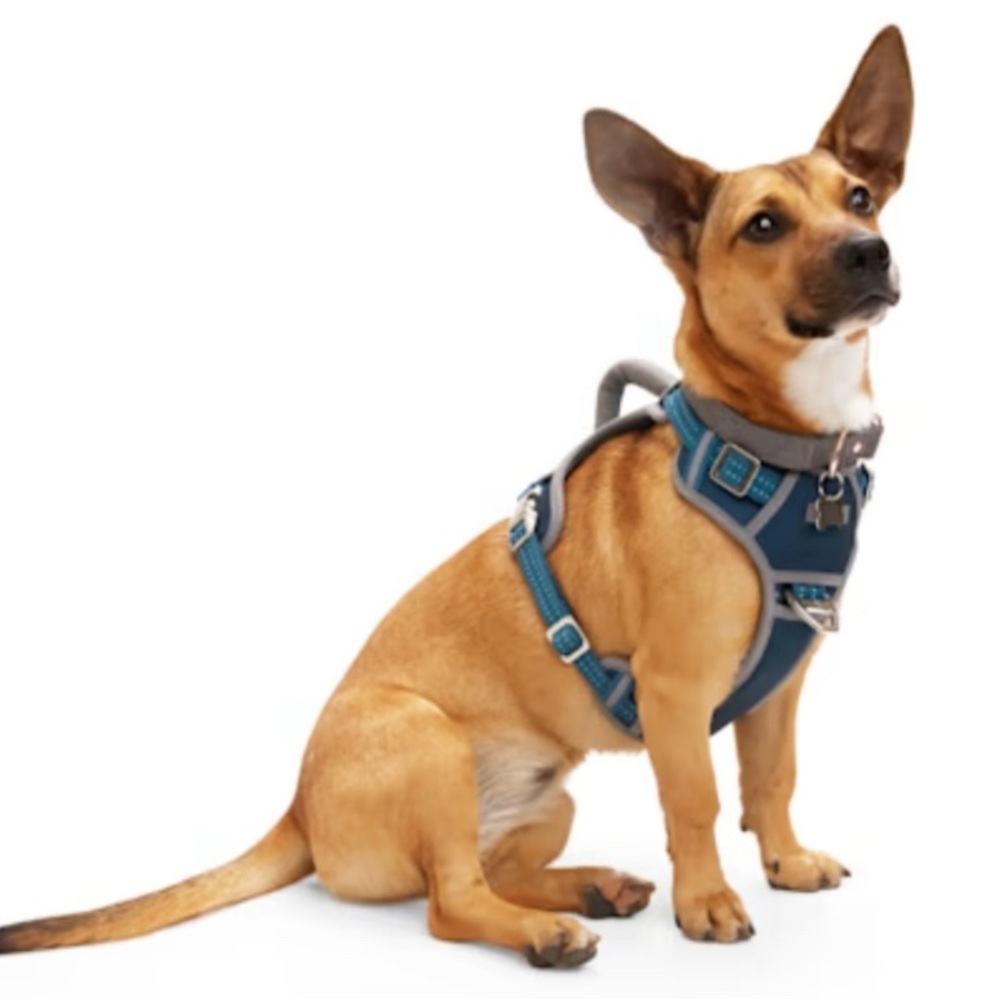 Blue Reddy Dog Harness in Size Large